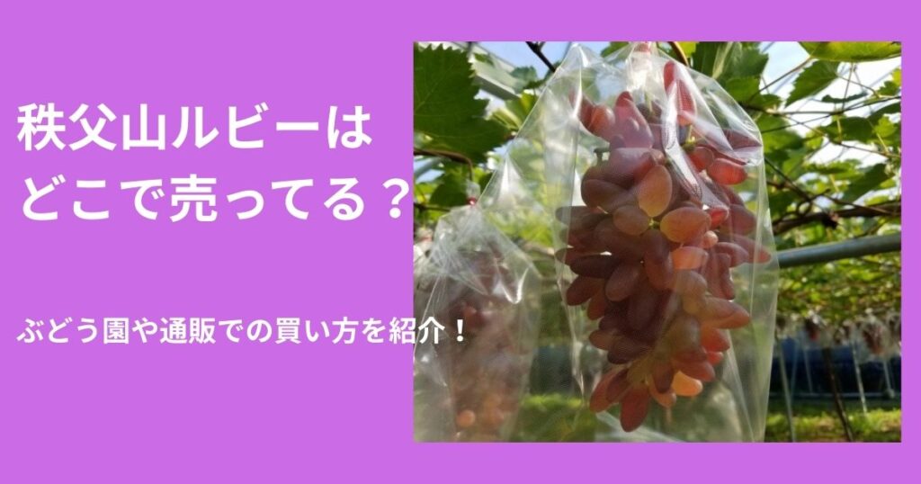 ちちぶ山ルビーどこで売ってる？