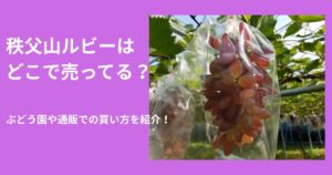 ちちぶ山ルビーどこで売ってる？